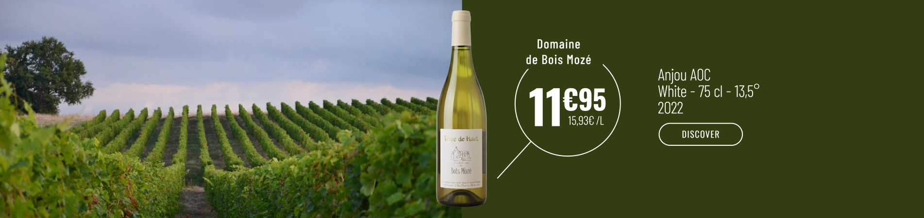 SLIDER DEKSTOP EN ANJOU DOMAINE DE BOIS MOZE.jpg